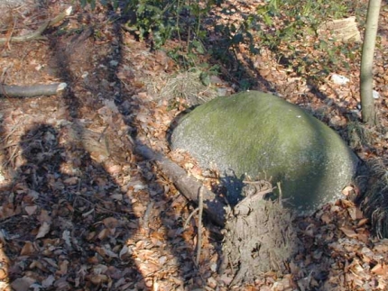 Bild 2 von 3 Findlinge